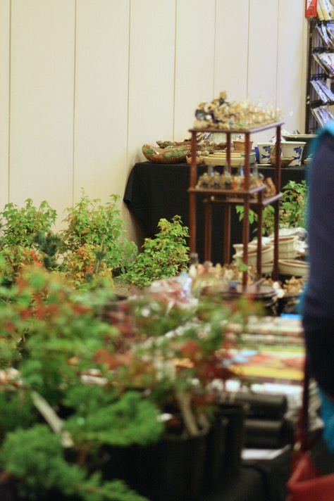 Convention opening21