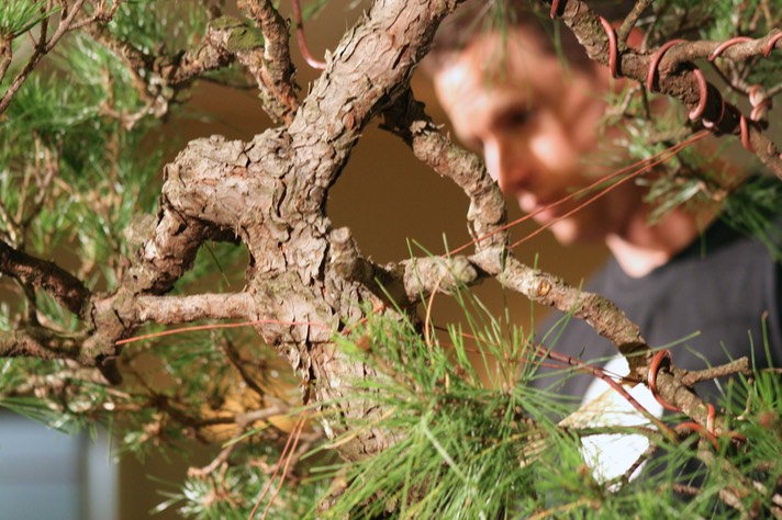 Ryan Neil Red Pine26