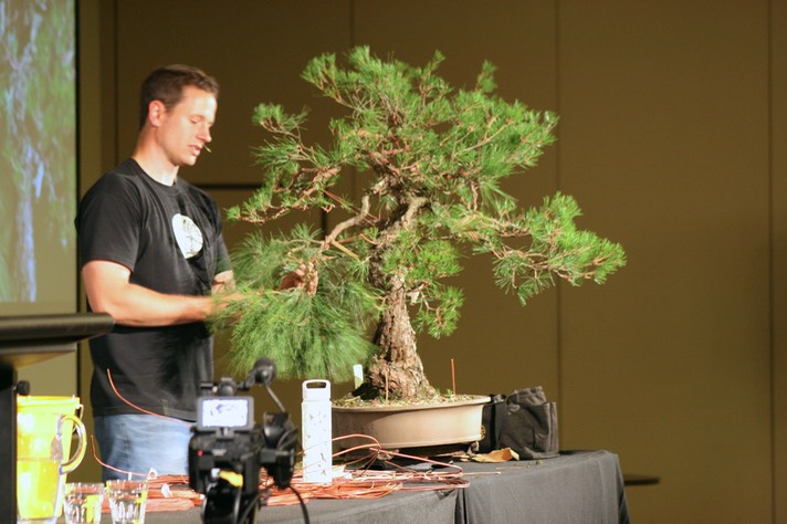 Ryan Neil Red Pine43