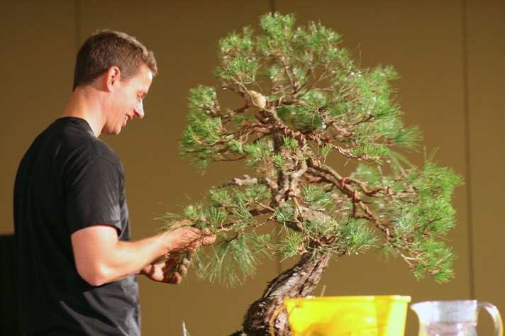 Ryan Neil Red Pine47